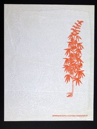1967.03.015.jpg