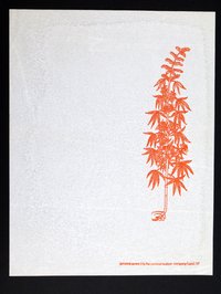 1967.03.161.jpg